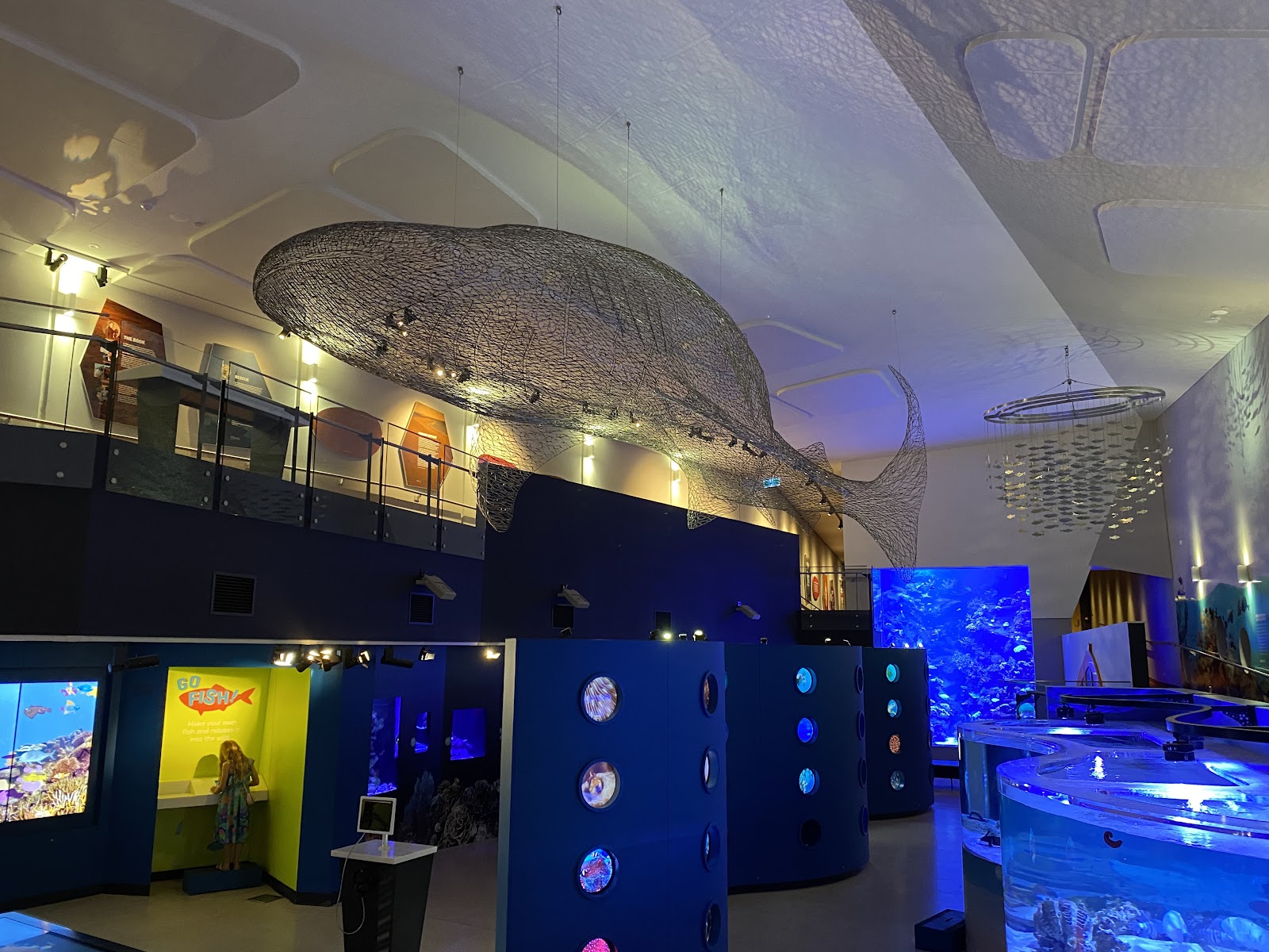 Ningaloo Centre — reef exhibition and live aquarium