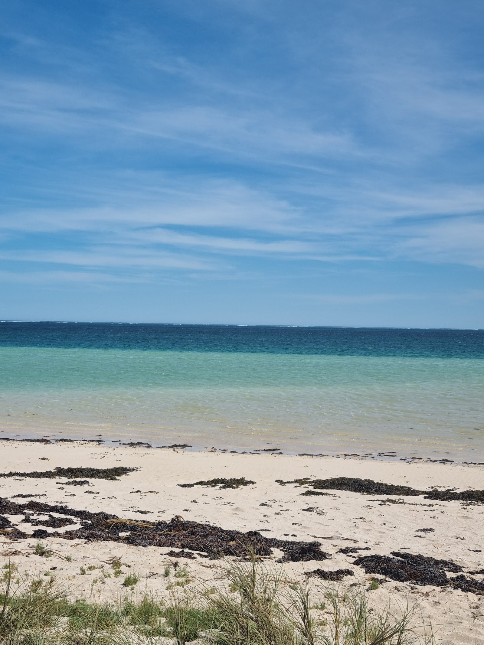 Practical Tips for Families at Ningaloo