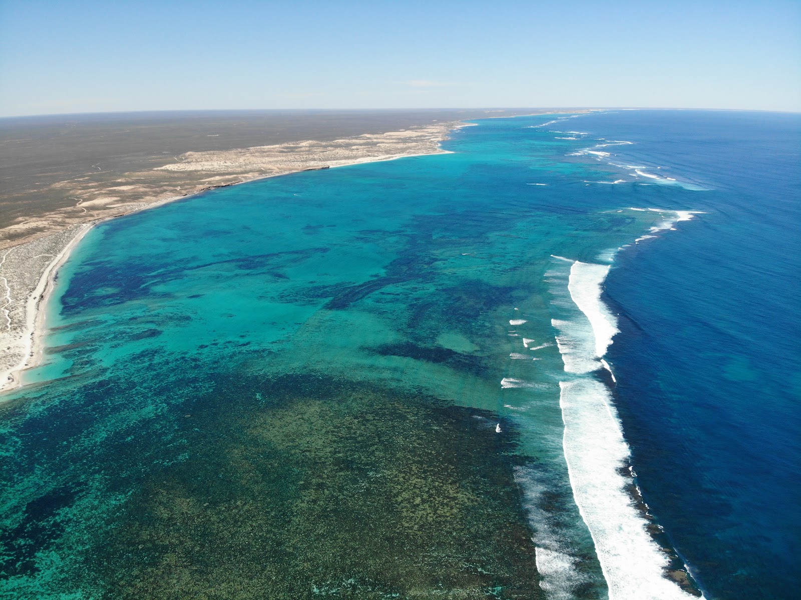 Fish feeding at Coral Bay (the shallow reef flat)