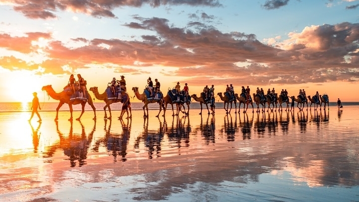 Sunset Camel Ride on Cable Beach