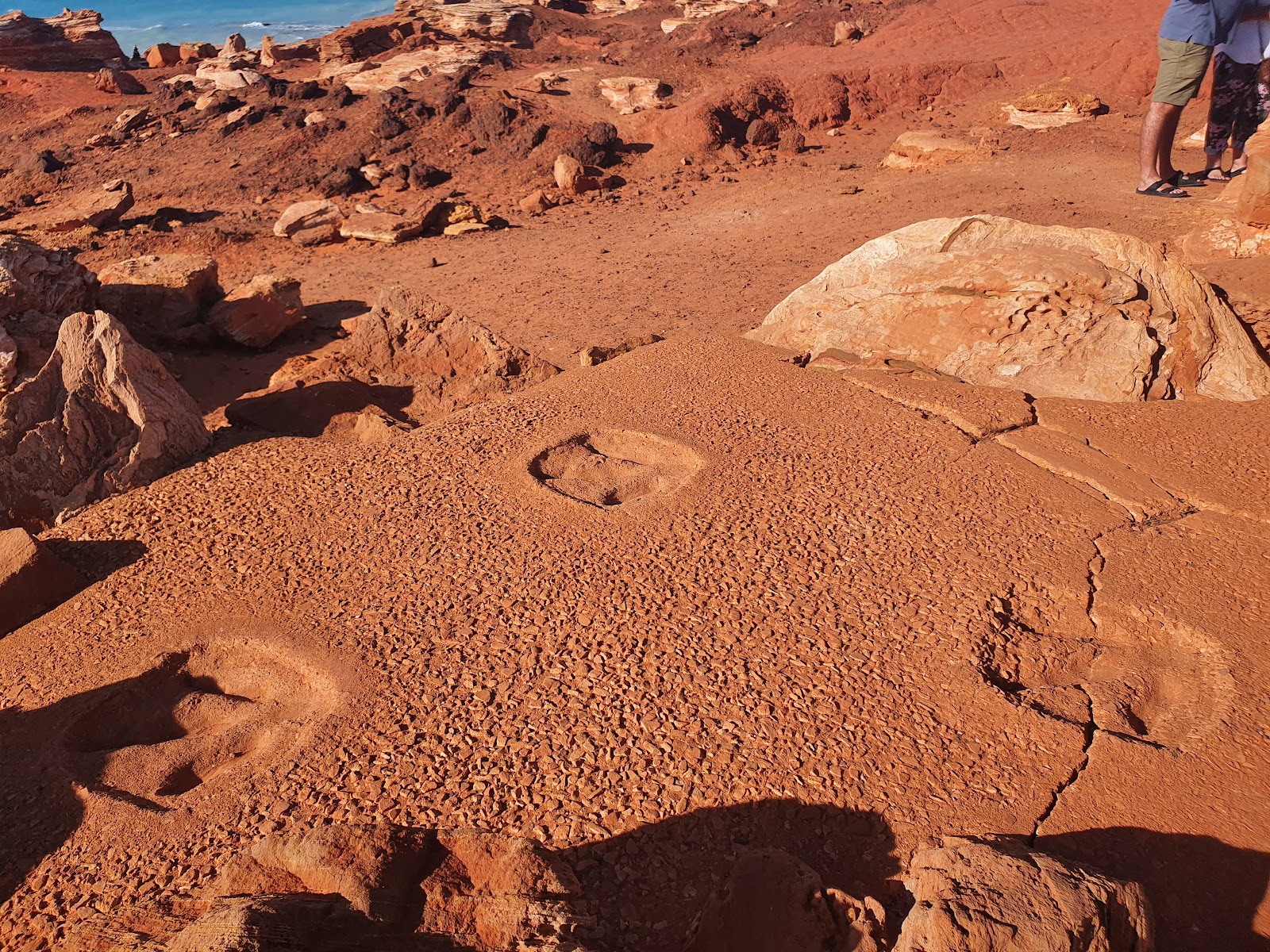 Gantheaume Point & the Dinosaur Footprints