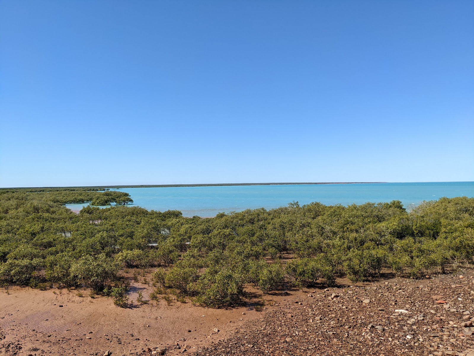 Mangrove Boardwalk (near Town Beach)