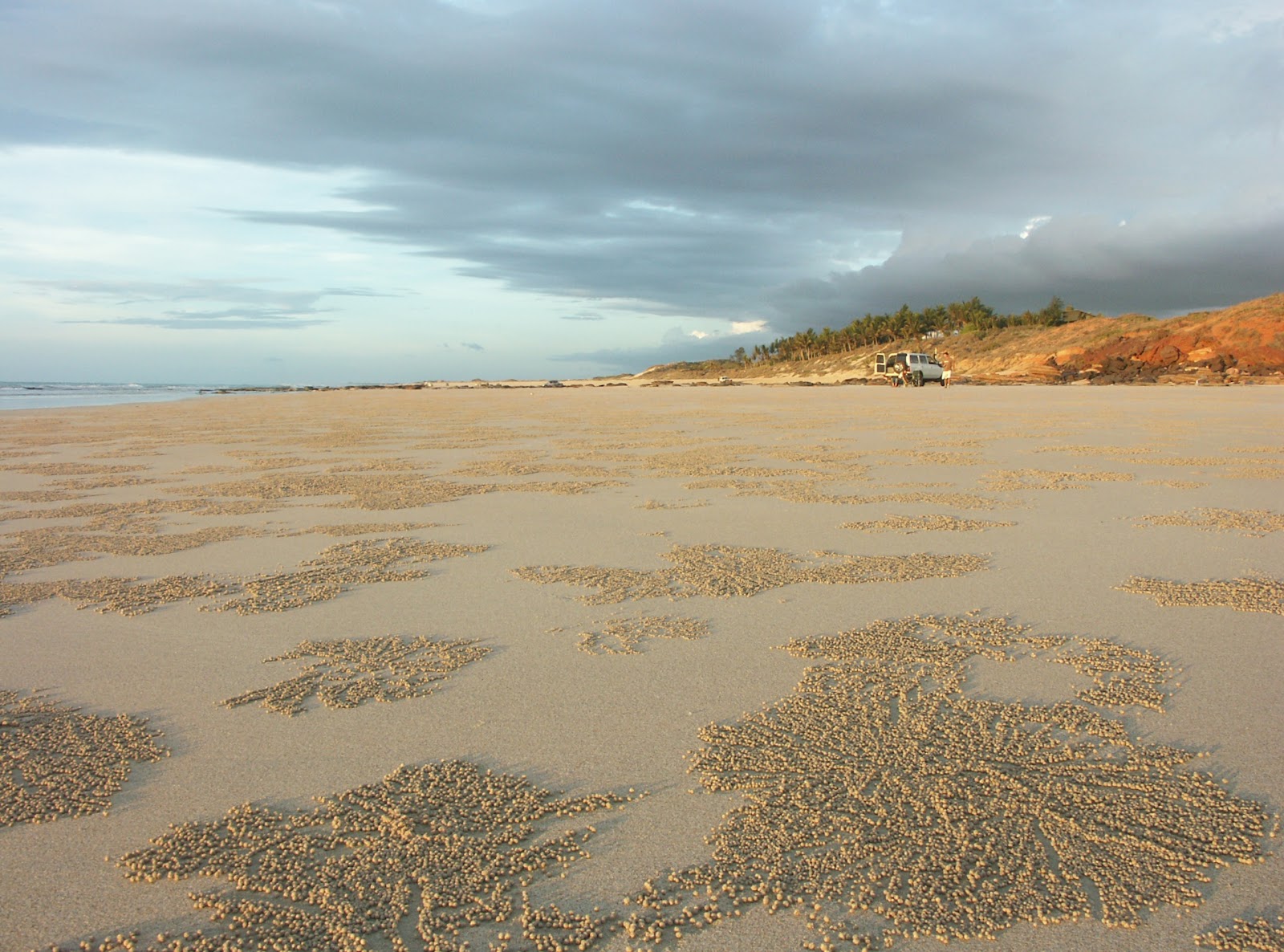 Cable Beach: How It Works and Why It Matters