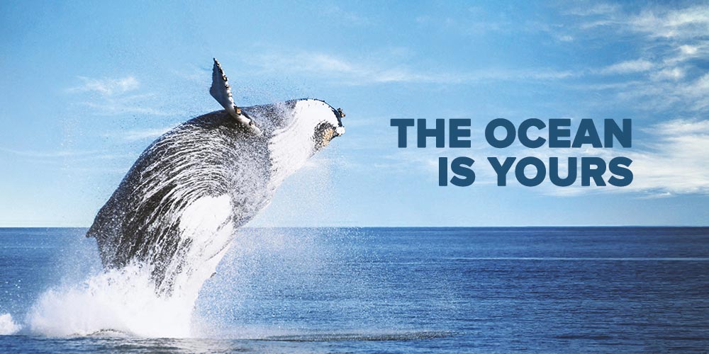 The Bottom Line on Fishing in Broome