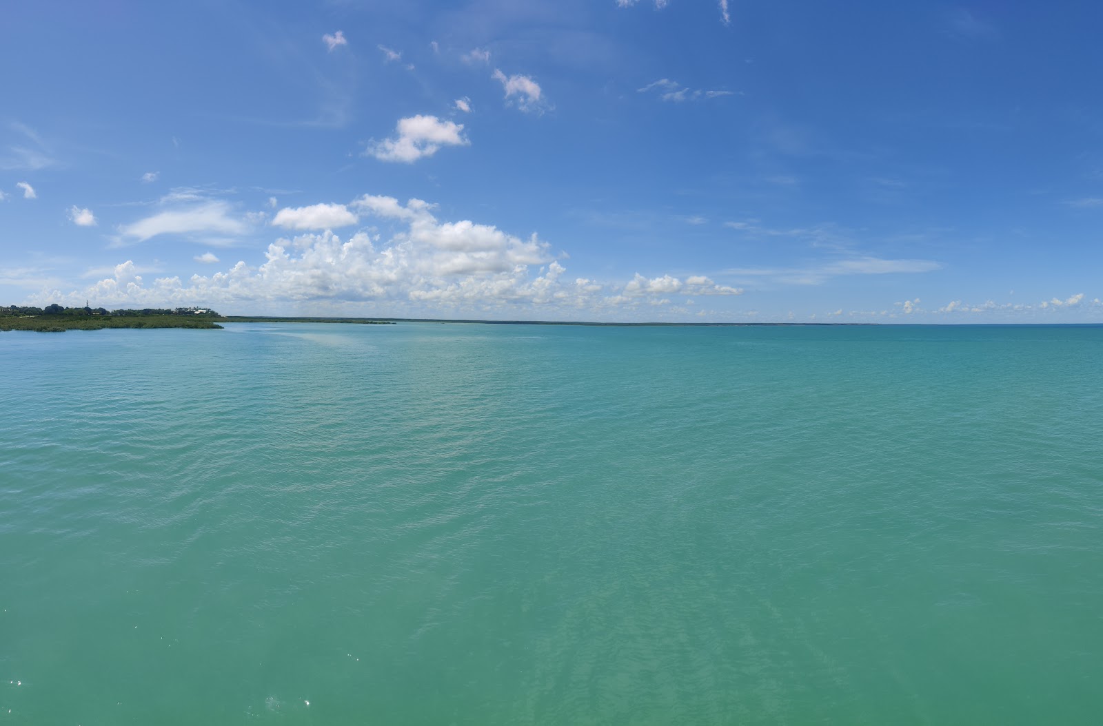 Roebuck Bay flats — threadfin salmon and queenfish