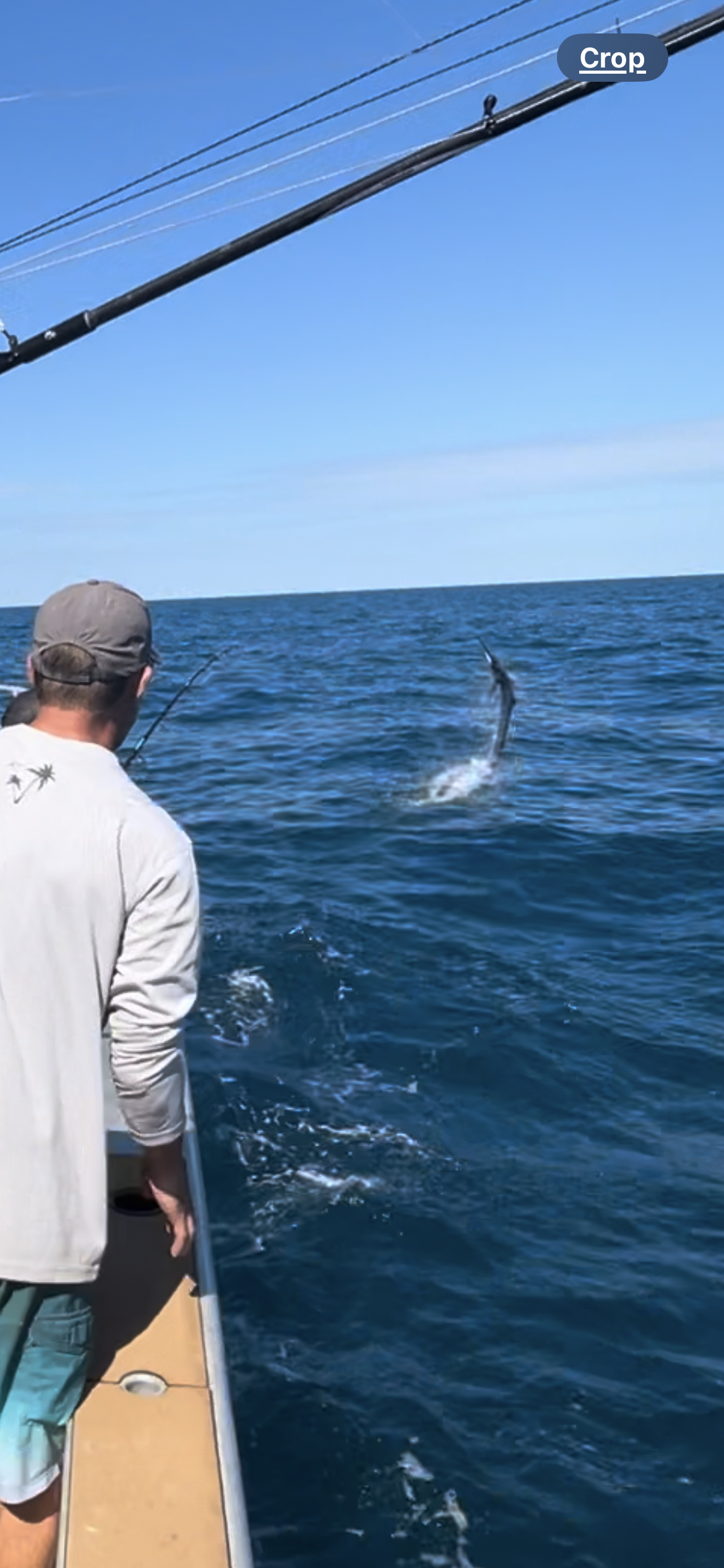 Offshore reef and sailfish charters