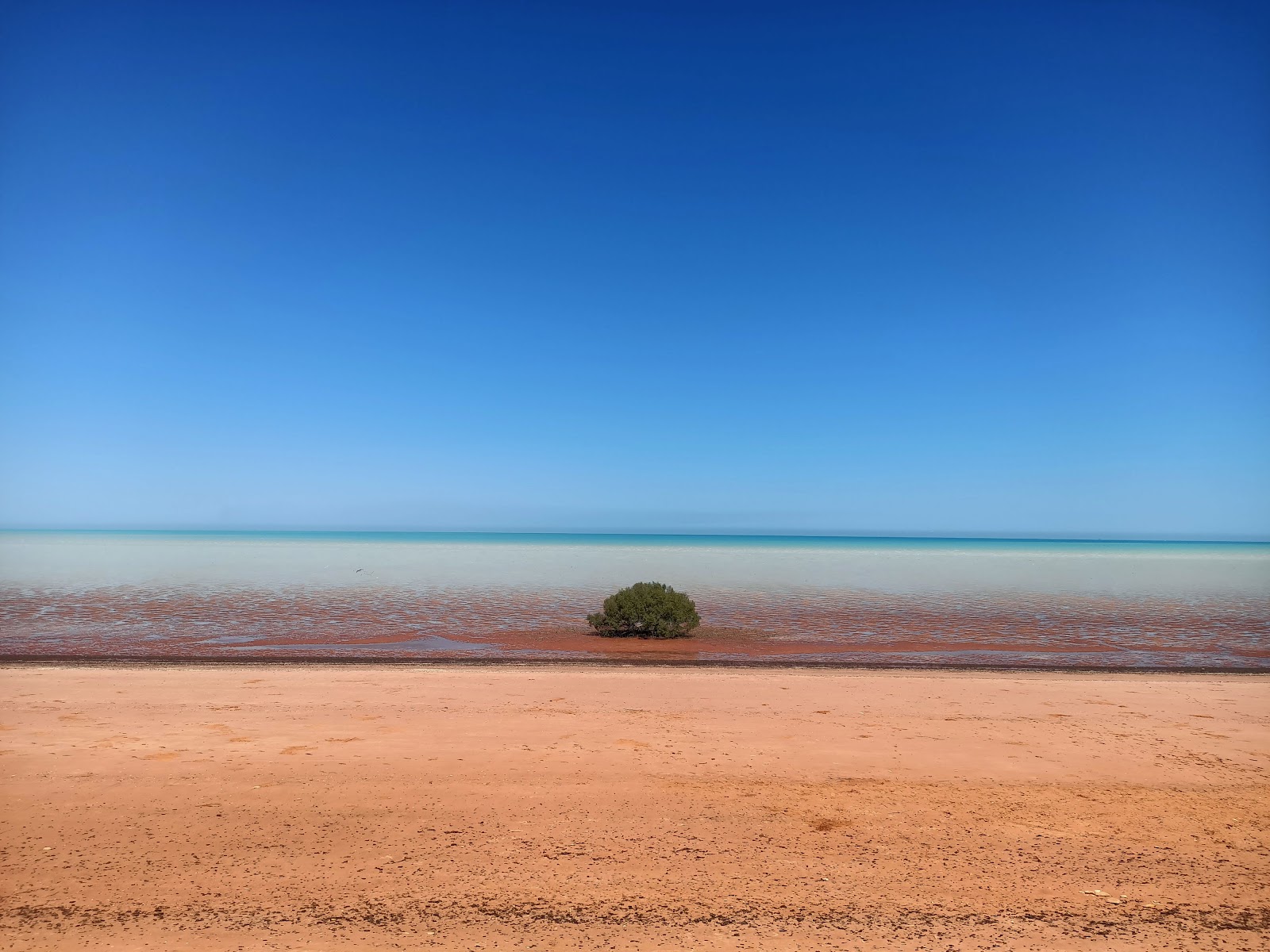 Broome Bird Observatory — A World-Class Birding Site Few Visitors Know About