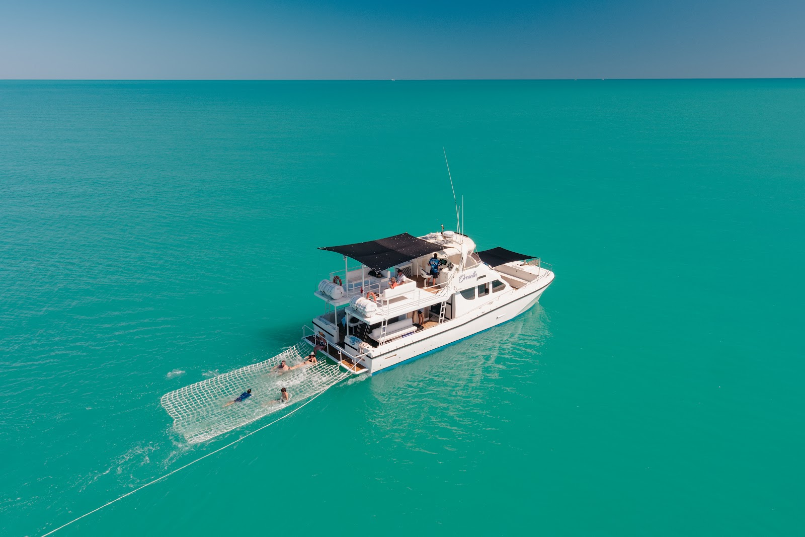 The Bottom Line on Whale Watching in Broome