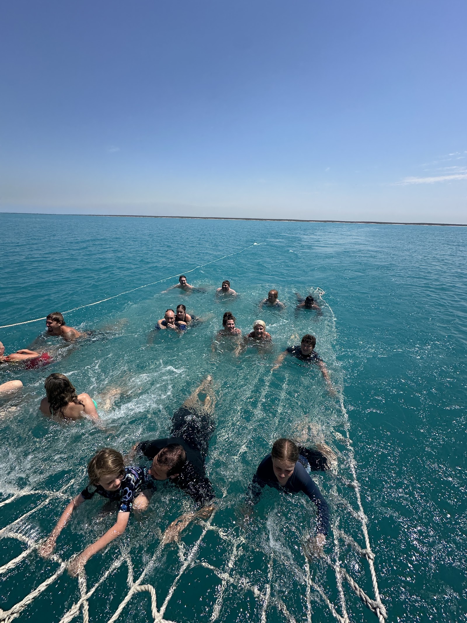 Sunset whale watching cruises