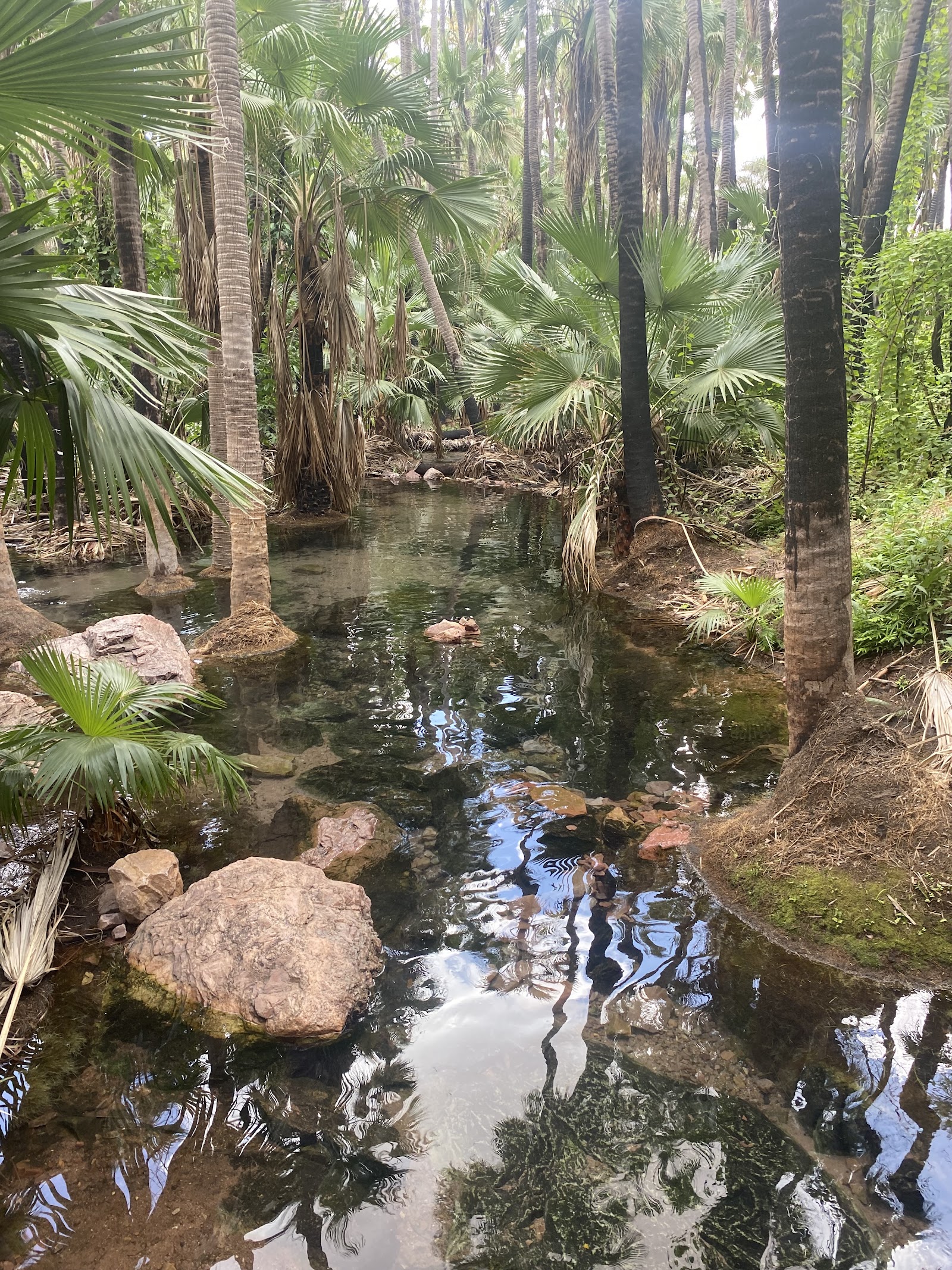 El Questro & Zebedee Springs