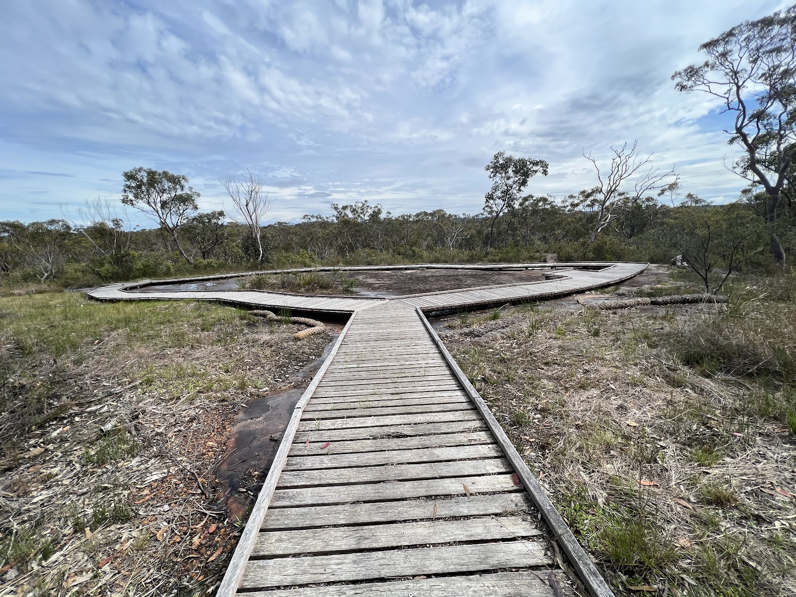 Wandjina & Gwion Rock Art