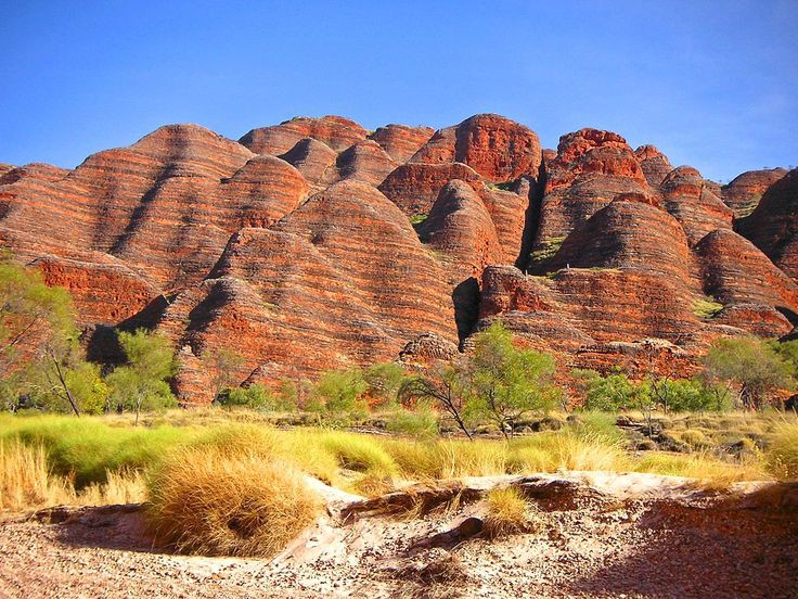 What to Know Before You Go to the Bungle Bungles