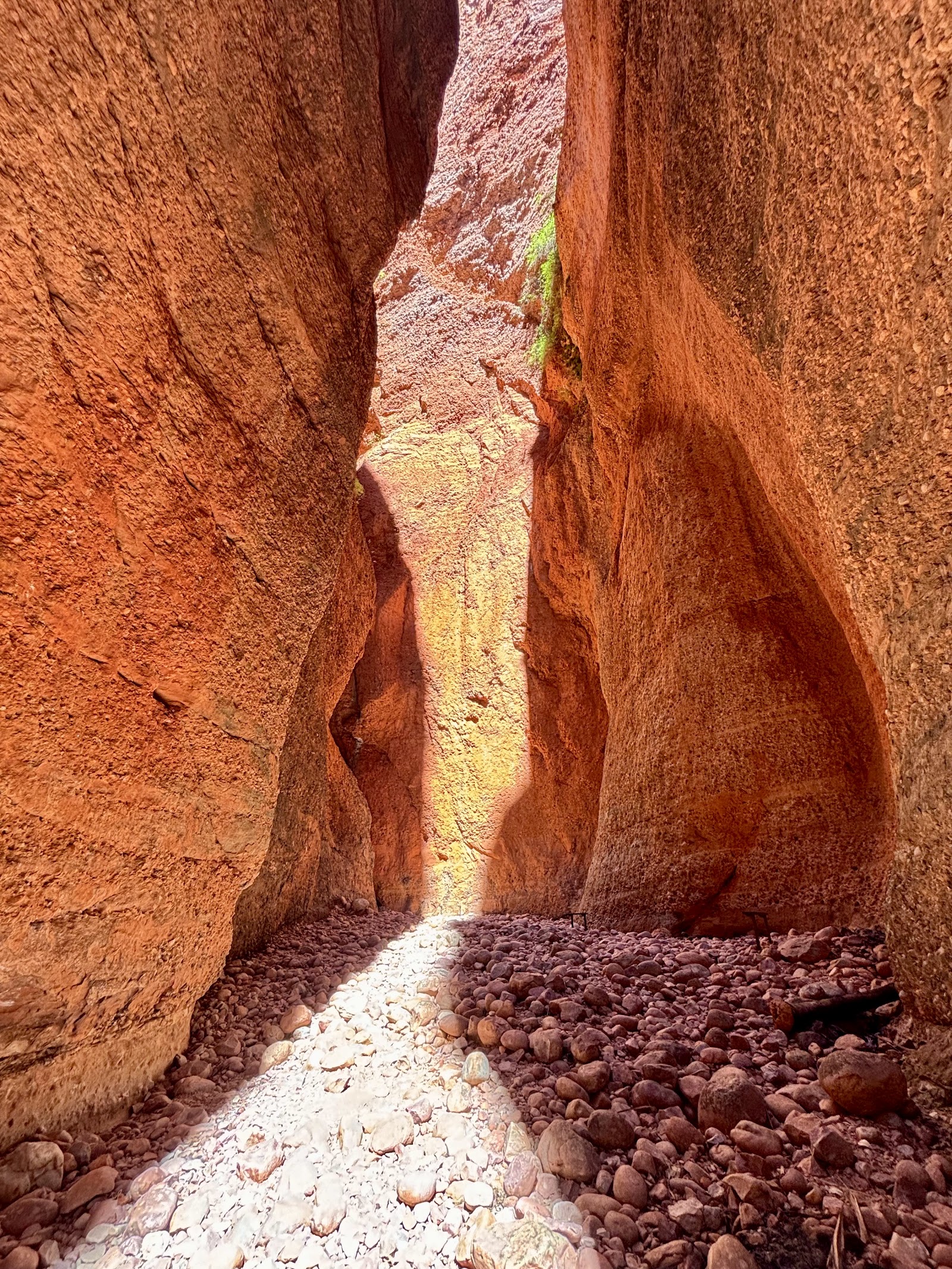 Echidna Chasm