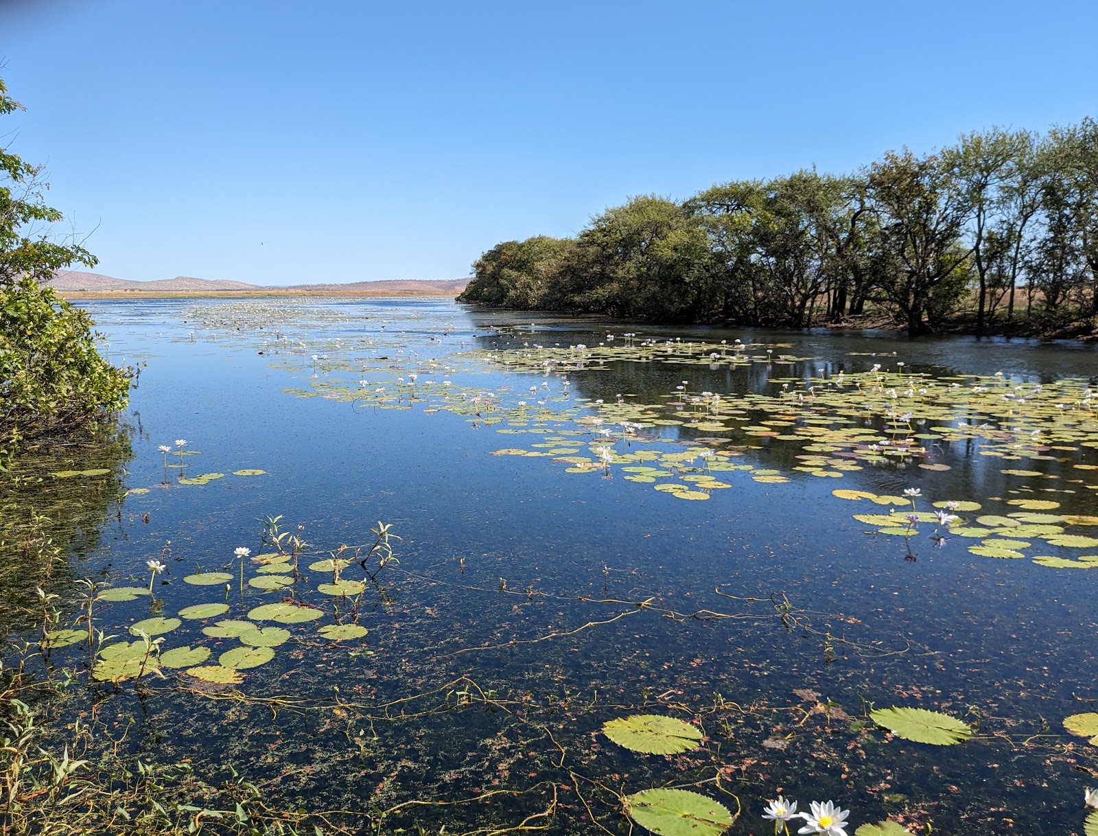 Parry Lagoons & Marlgu Billabong