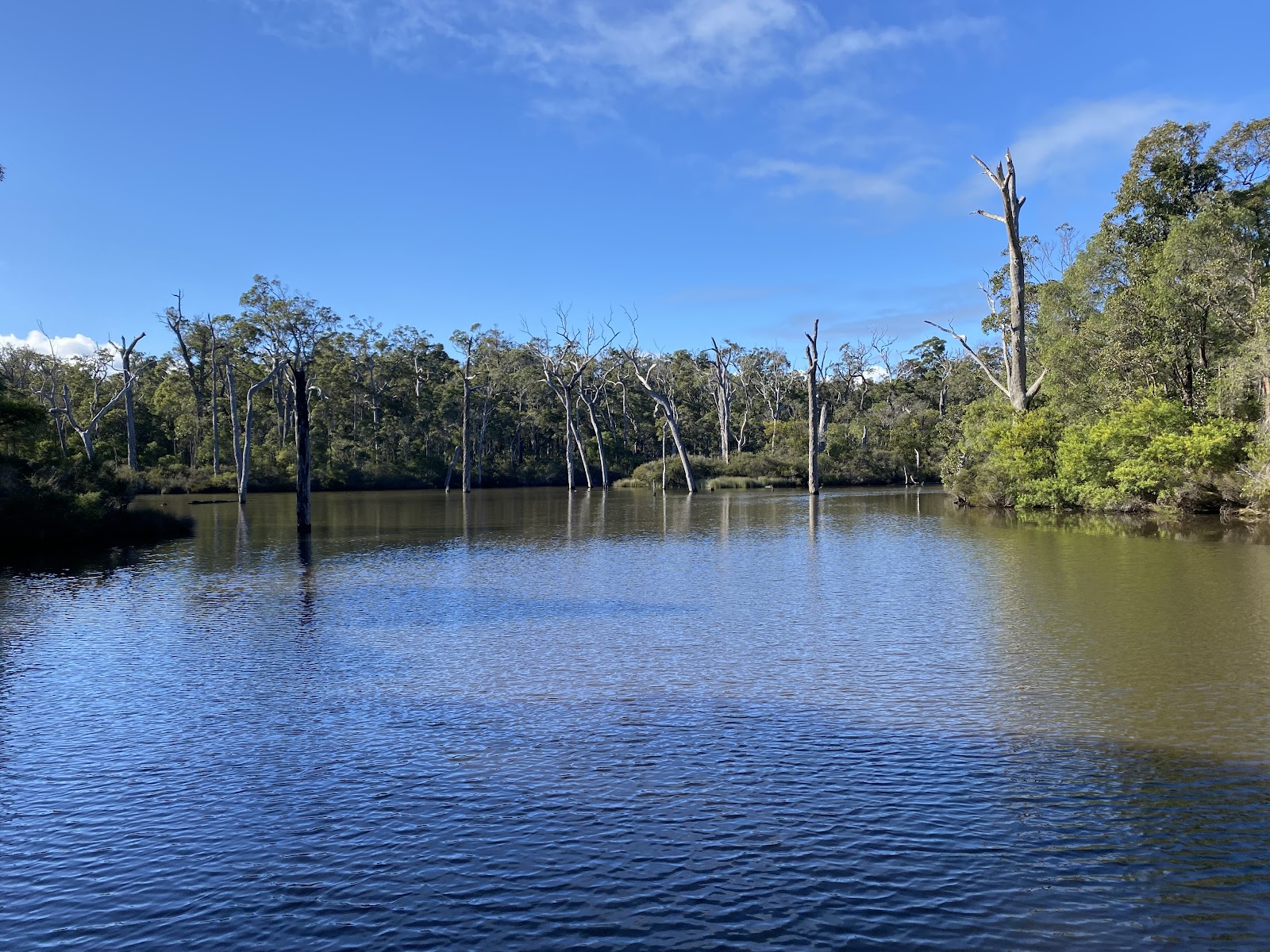 Making the Most of Free Margaret River — Practical Notes
