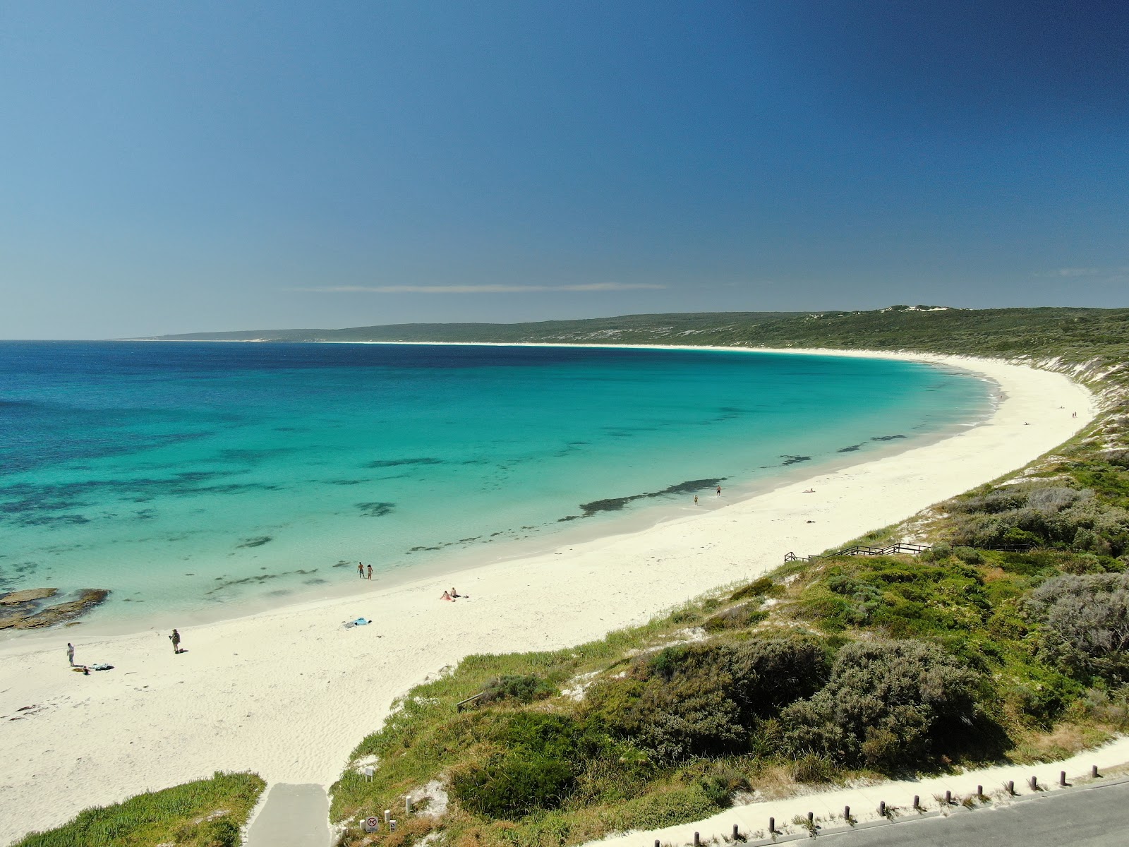 Hamelin Bay stingrays