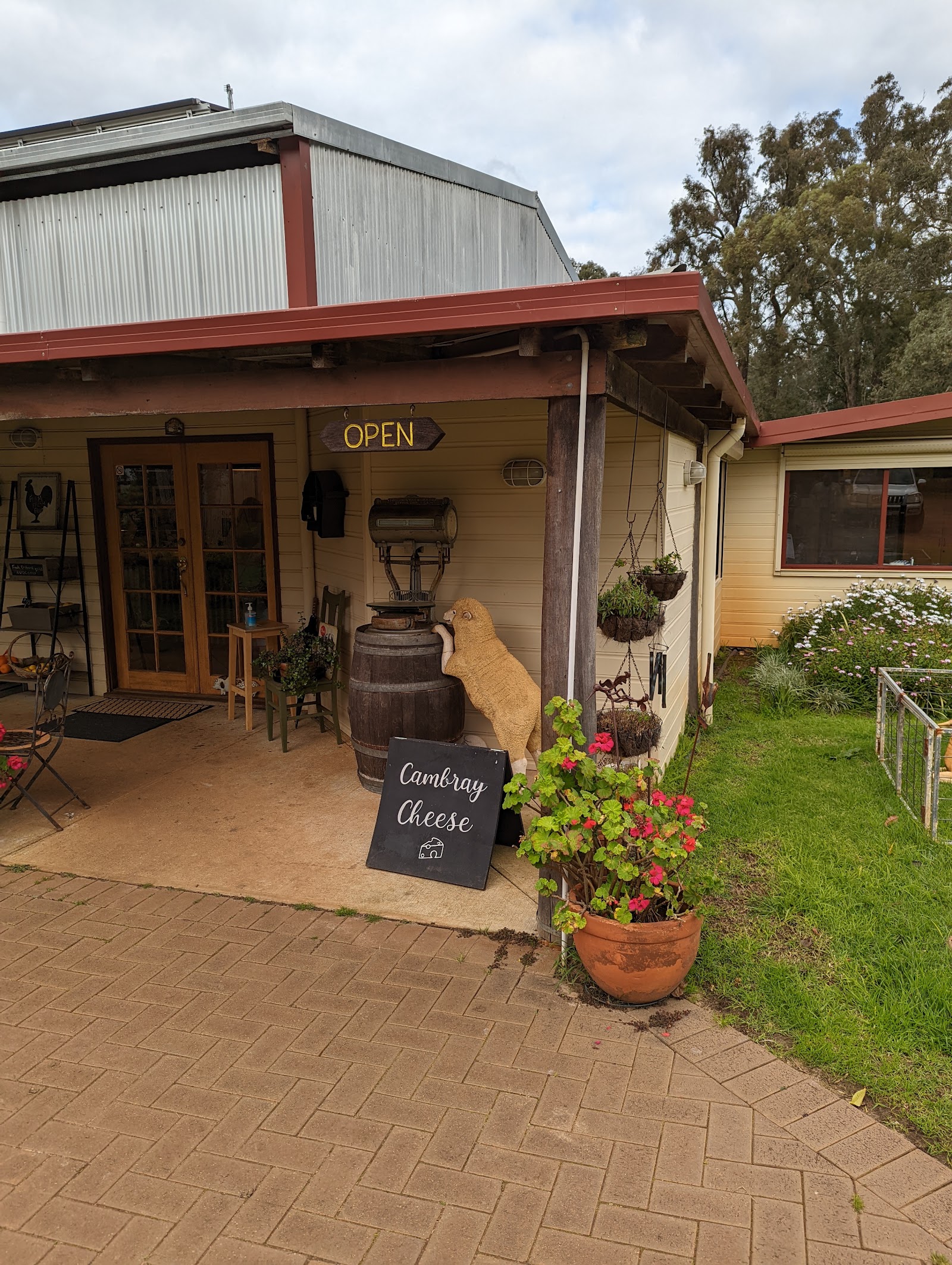 Margaret River Dairy Company cheese tasting