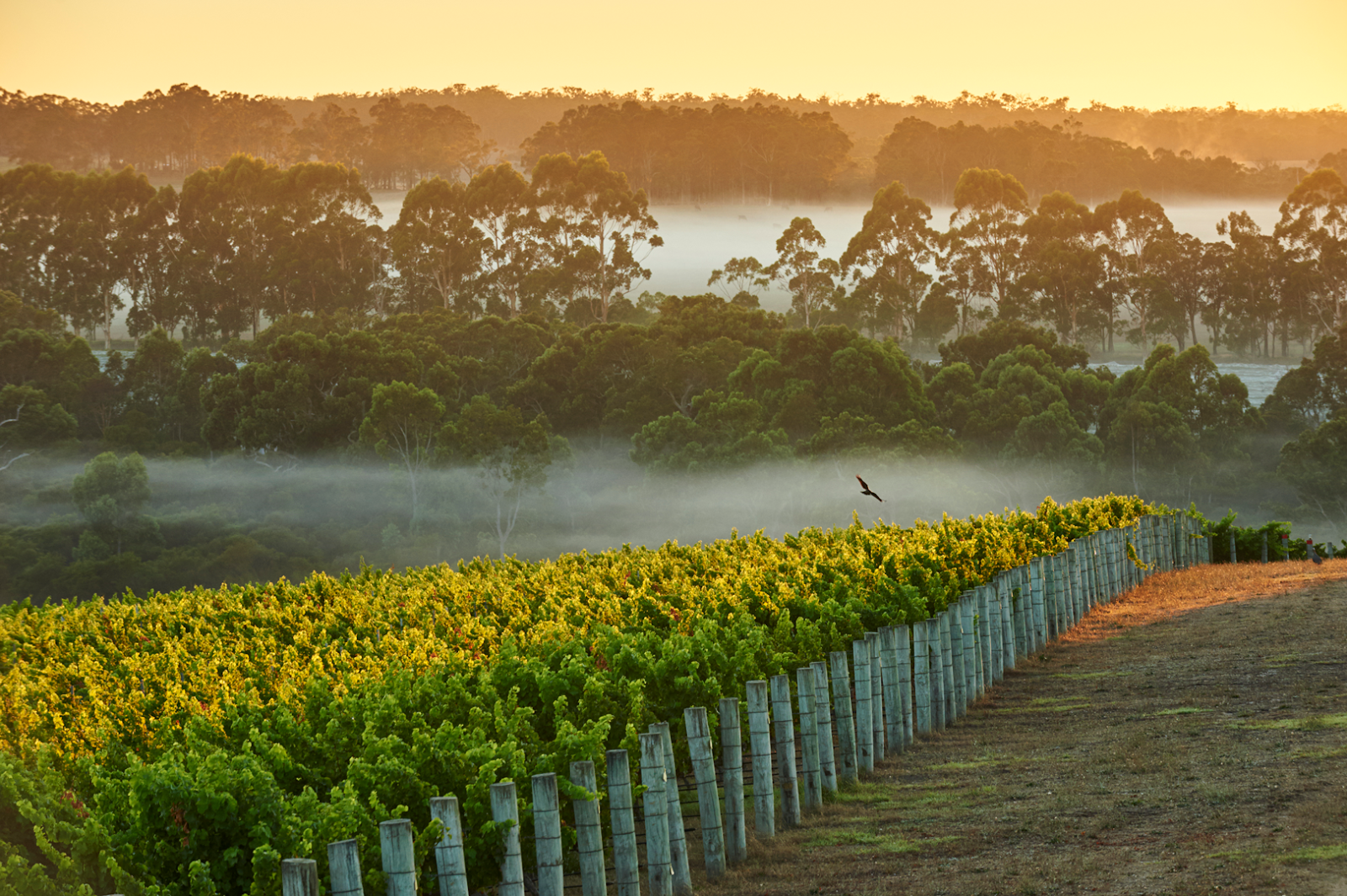Is Margaret River Right for Your Romantic Weekend?