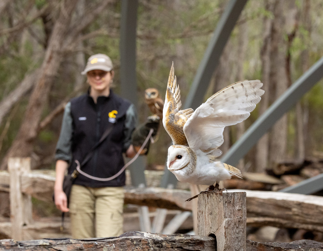 Capes Raptor Centre (formerly Eagles Heritage)